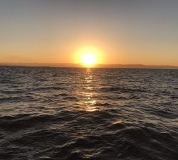 さぶろう丸 釣果