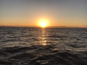 さぶろう丸 釣果