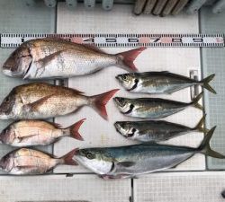 さぶろう丸 釣果