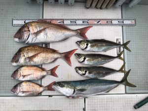さぶろう丸 釣果