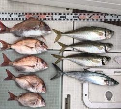 さぶろう丸 釣果