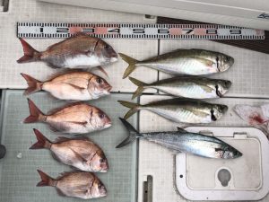 さぶろう丸 釣果