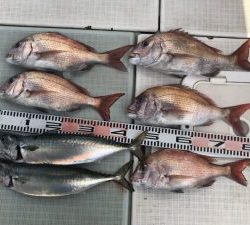 さぶろう丸 釣果