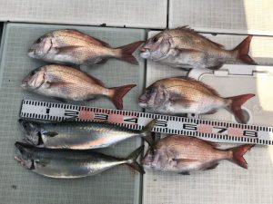 さぶろう丸 釣果