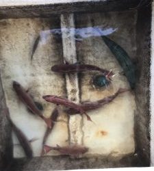 さぶろう丸 釣果