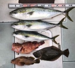 さぶろう丸 釣果