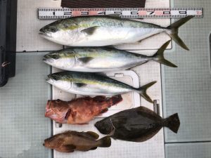 さぶろう丸 釣果