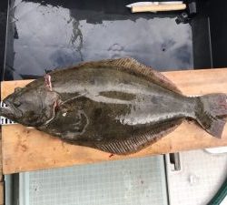 さぶろう丸 釣果