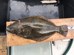 さぶろう丸 釣果