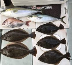 さぶろう丸 釣果