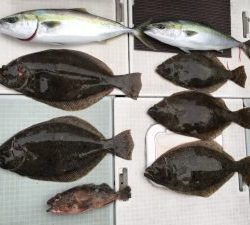 さぶろう丸 釣果