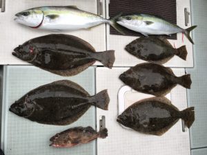 さぶろう丸 釣果