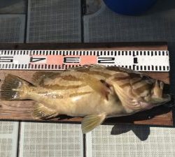 さぶろう丸 釣果