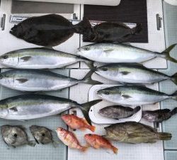 さぶろう丸 釣果