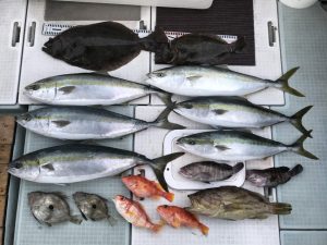 さぶろう丸 釣果