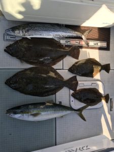 さぶろう丸 釣果