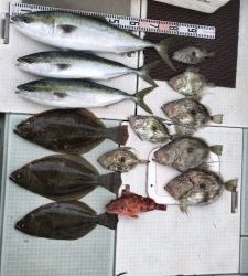 さぶろう丸 釣果