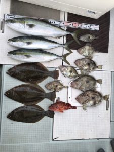 さぶろう丸 釣果