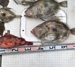 さぶろう丸 釣果