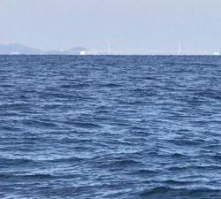 さぶろう丸 釣果