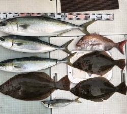 さぶろう丸 釣果