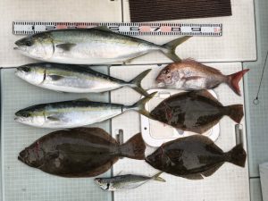 さぶろう丸 釣果