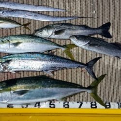 火遠理丸（ほおりまる） 釣果