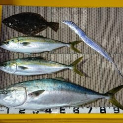 火遠理丸（ほおりまる） 釣果