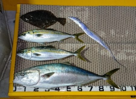 火遠理丸（ほおりまる） 釣果