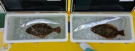 火遠理丸(ほおりまる) 釣果