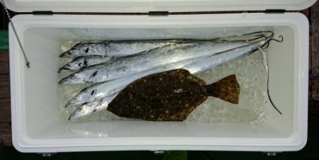 火遠理丸(ほおりまる) 釣果