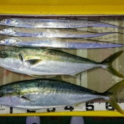 火遠理丸(ほおりまる) 釣果