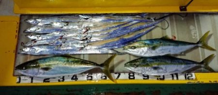 火遠理丸(ほおりまる) 釣果