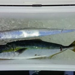 火遠理丸(ほおりまる) 釣果