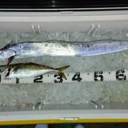 火遠理丸(ほおりまる) 釣果