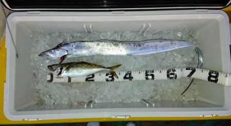 火遠理丸(ほおりまる) 釣果