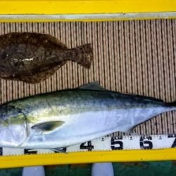 火遠理丸(ほおりまる) 釣果