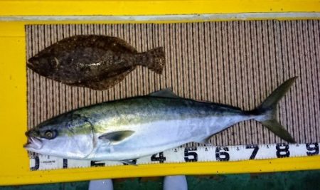 火遠理丸(ほおりまる) 釣果