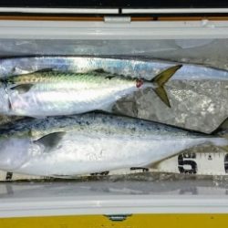 火遠理丸(ほおりまる) 釣果