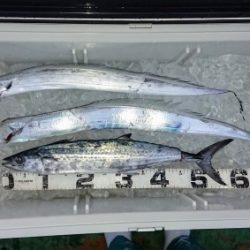 火遠理丸(ほおりまる) 釣果