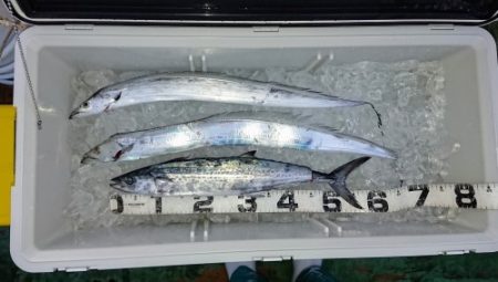 火遠理丸(ほおりまる) 釣果