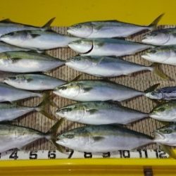 火遠理丸（ほおりまる） 釣果