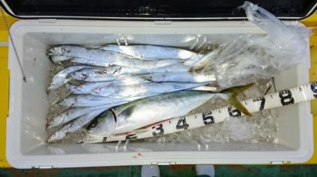火遠理丸（ほおりまる） 釣果
