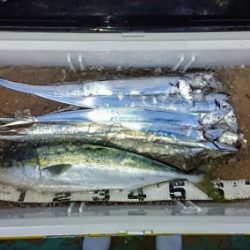 火遠理丸（ほおりまる） 釣果