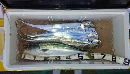 火遠理丸（ほおりまる） 釣果