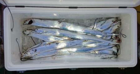 火遠理丸（ほおりまる） 釣果