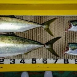 火遠理丸(ほおりまる) 釣果