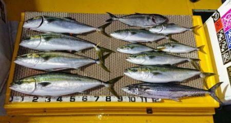 火遠理丸（ほおりまる） 釣果