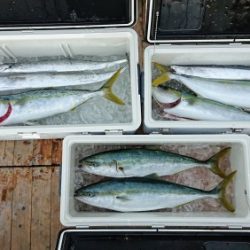 火遠理丸(ほおりまる) 釣果