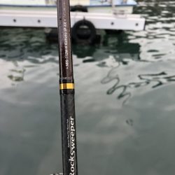 Magic（マジック） 釣果